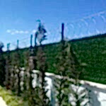Duvar Üzeri Panel Çit4